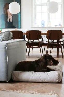 - Tobine hundeseng - Sand - Str. L^tadazhi Clearance