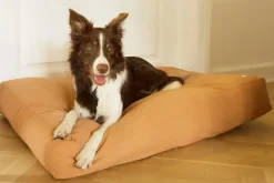 - Tobine hundeseng - Lysebrun - Str. M*tadazhi Sale