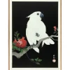 - Plakat 50x70 cm. - Cockatoo & Pomegranate - Papir^The Dybdahl Best