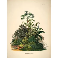 - Plakat 50x70 cm - Mauritia - Papir*The Dybdahl Outlet