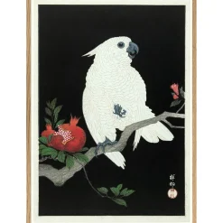 - Plakat 30x40 cm. - Cockatoo & Pomegranate - Papir*The Dybdahl Best