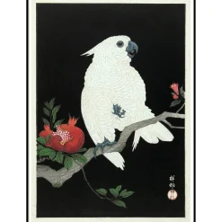 - Plakat 30x40 cm. - Cockatoo & Pomegranate - Papir*The Dybdahl Best