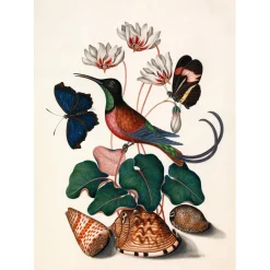 - Plakat 50x70 cm - Hummingbird, Butterflies & Flowers - Papir*The Dybdahl Hot