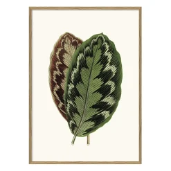 - Plakat 30x40 cm. - Blade - Papir*The Dybdahl