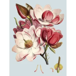 - Plakat 30x40 cm - Pink Flower - Papir^The Dybdahl Hot