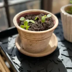 - Leaves Design Skobakke - Small*Tica Copenhagen