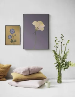 - Geranium plakat, amber - 50x70 cm^VISSEVASSE New