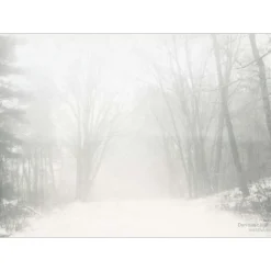 - Peregrination plakat 50 x 70 cm^VISSEVASSE New