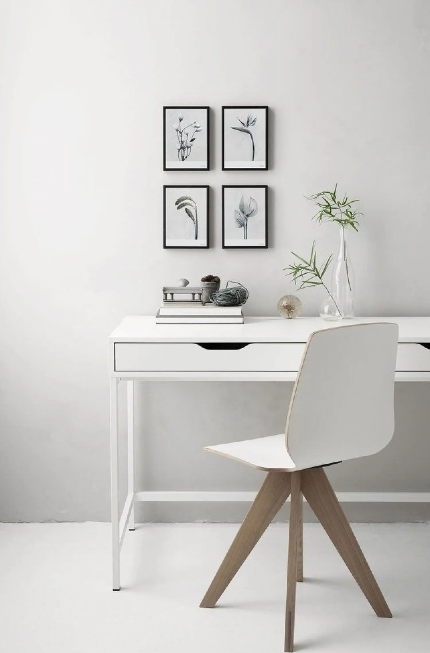 - Plakat Botanica Anthurium Andraeanum - (50x70 cm)^VISSEVASSE Hot