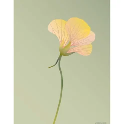 - Tallerkensmækker - 50x70 - Støvet grøn*VISSEVASSE Clearance