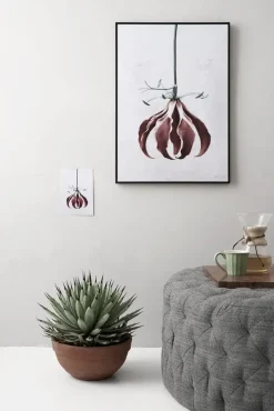 plakat - Botanica Gloriosa Superba 50x70^VISSEVASSE New