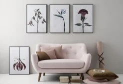 plakat - Botanica Gloriosa Superba 50x70^VISSEVASSE New